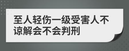 至人轻伤一级受害人不谅解会不会判刑