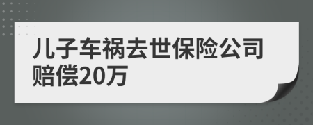 儿子车祸去世保险公司赔偿20万