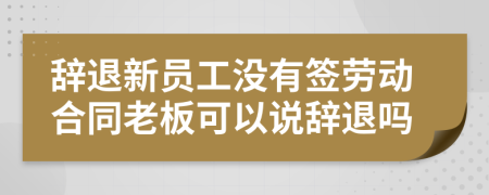 辞退新员工没有签劳动合同老板可以说辞退吗