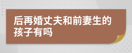 后再婚丈夫和前妻生的孩子有吗