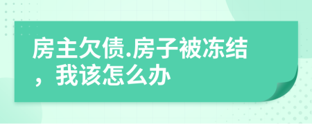 房主欠债.房子被冻结，我该怎么办