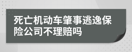死亡机动车肇事逃逸保险公司不理赔吗