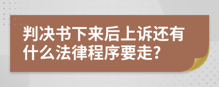 判决书下来后上诉还有什么法律程序要走?