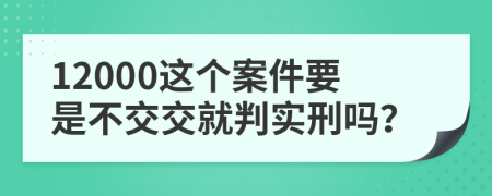 12000这个案件要是不交交就判实刑吗？