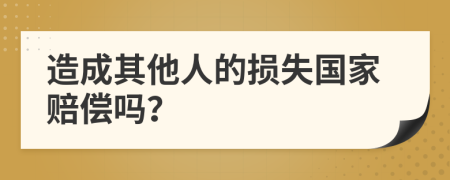 造成其他人的损失国家赔偿吗？