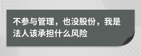 不参与管理，也没股份，我是法人该承担什么风险