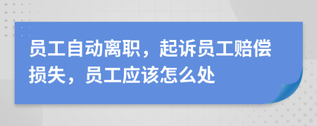 员工自动离职，起诉员工赔偿损失，员工应该怎么处