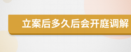 立案后多久后会开庭调解