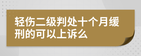 轻伤二级判处十个月缓刑的可以上诉么