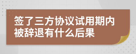 签了三方协议试用期内被辞退有什么后果