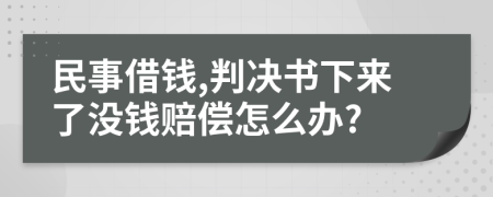 民事借钱,判决书下来了没钱赔偿怎么办?