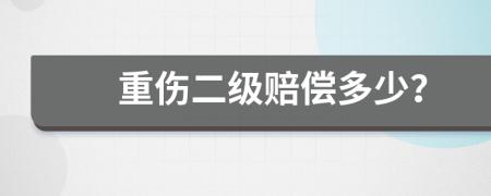 重伤二级赔偿多少？
