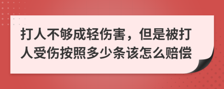 打人不够成轻伤害，但是被打人受伤按照多少条该怎么赔偿