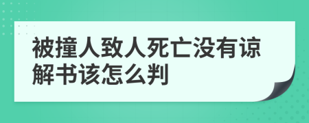 被撞人致人死亡没有谅解书该怎么判