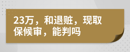 23万，和退赃，现取保候审，能判吗