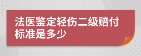 法医鉴定轻伤二级赔付标准是多少