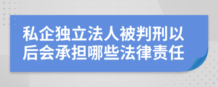 私企独立法人被判刑以后会承担哪些法律责任