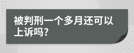 被判刑一个多月还可以上诉吗?