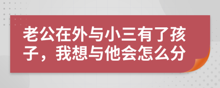 老公在外与小三有了孩子，我想与他会怎么分