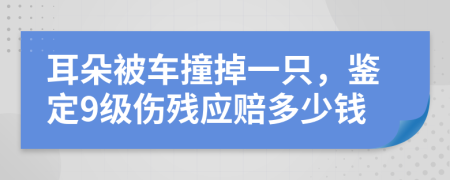 耳朵被车撞掉一只，鉴定9级伤残应赔多少钱