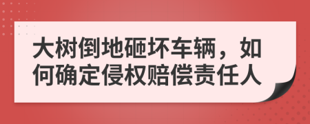 大树倒地砸坏车辆，如何确定侵权赔偿责任人