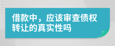 借款中，应该审查债权转让的真实性吗