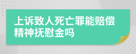 上诉致人死亡罪能赔偿精神抚慰金吗