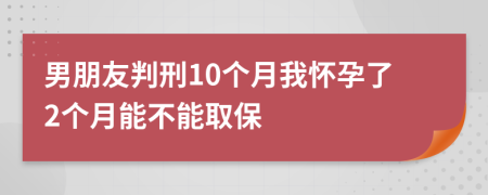 男朋友判刑10个月我怀孕了2个月能不能取保
