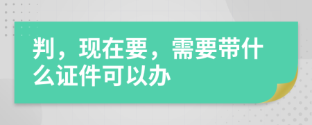 判，现在要，需要带什么证件可以办