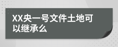 XX央一号文件土地可以继承么