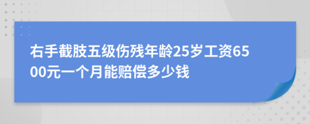 右手截肢五级伤残年龄25岁工资6500元一个月能赔偿多少钱