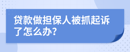 贷款做担保人被抓起诉了怎么办？