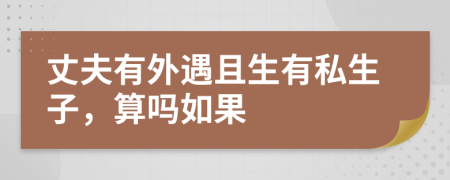 丈夫有外遇且生有私生子，算吗如果