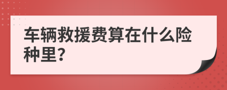 车辆救援费算在什么险种里？