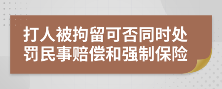 打人被拘留可否同时处罚民事赔偿和强制保险