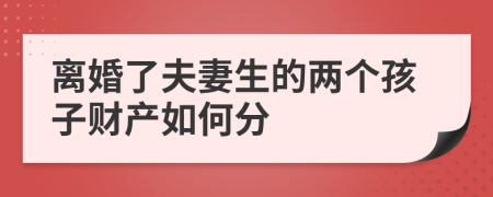 离婚了夫妻生的两个孩子财产如何分