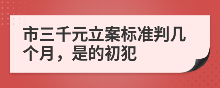 市三千元立案标准判几个月，是的初犯