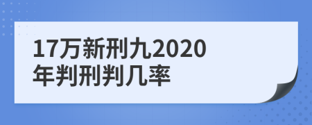 17万新刑九2020年判刑判几率