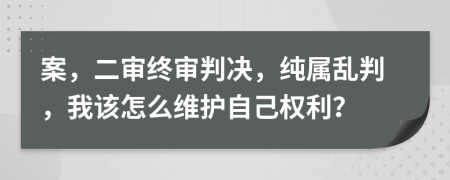 案，二审终审判决，纯属乱判，我该怎么维护自己权利？