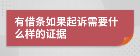 有借条如果起诉需要什么样的证据