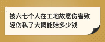 被六七个人在工地故意伤害致轻伤私了大概能赔多少钱