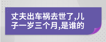 丈夫出车祸去世了,儿子一岁三个月,是谁的