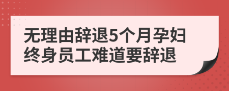 无理由辞退5个月孕妇终身员工难道要辞退