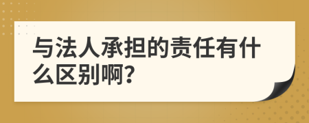 与法人承担的责任有什么区别啊？