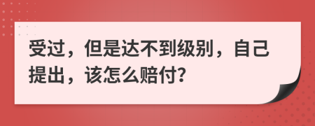 受过，但是达不到级别，自己提出，该怎么赔付？