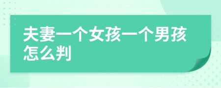 夫妻一个女孩一个男孩怎么判