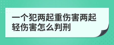 一个犯两起重伤害两起轻伤害怎么判刑