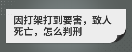 因打架打到要害，致人死亡，怎么判刑