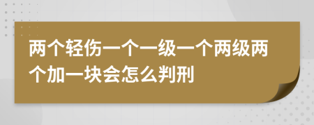 两个轻伤一个一级一个两级两个加一块会怎么判刑