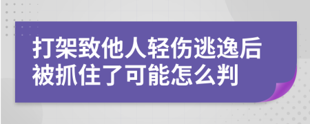 打架致他人轻伤逃逸后被抓住了可能怎么判